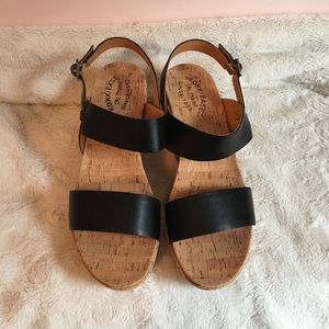 Kirk-Ease platform wedge